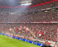 爱游戏-蒂姆迎来十五赛季高光表现，拜仁球迷沸腾！的简单介绍